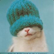 Addme:realplayer_94_/lisätkäämu