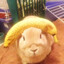 Cortige