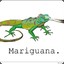 Mariguana 420