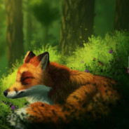 foxitSKINS.ARMY.CSGOSKINS