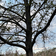 пуш глобала за 14 д