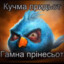 leviyberegkumachevochka