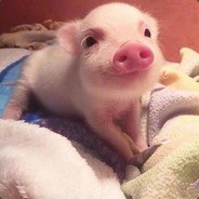 南京市民李先生