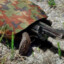 TortugaPEEK ♡