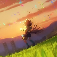 Pokke