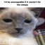 Lets be furrrrriends