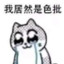 DJ喜洋洋