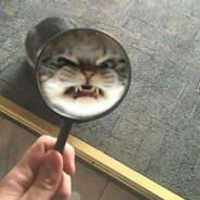 养了一只小飞猪