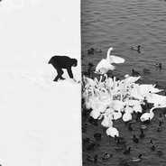 醉虾