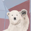polar bear