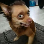 Nikkeeee