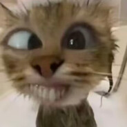 她说人多樭因好