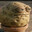 Florist
