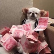 霸道总裁龙傲天