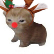 Rudo - steam id 76561199046999204