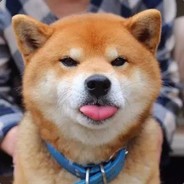 刘肥肠的饲养员