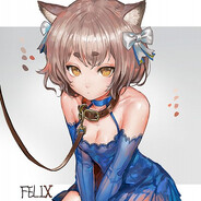 Femboy Connoisseur