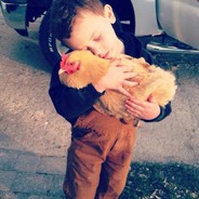 一匹多情的斑马