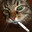 Mr.Kitty