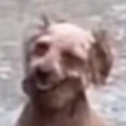 抹抹茶茶，我们的芭菲