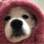 锅巴猪