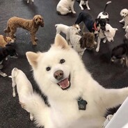 我想插进姐姐的哨兵里