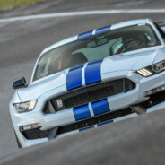 性取向给你打直