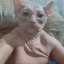 Брутальный яйцочух