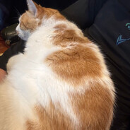 9z⁧⁧KΣVMΛֆֆ9