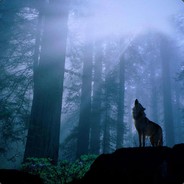 孤狼啸月的爪子