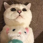 春潮带雨婉来急