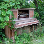 Рояль в кустах