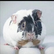 中天北极紫微太皇大帝