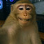 Krыше4ka's avatar