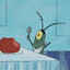 plankton