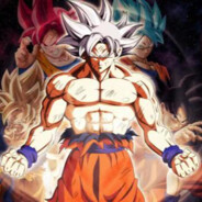 我在等风起也在等你归