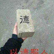 傲娇的狐狸
