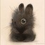 _BLACK_HARE_in_attack_