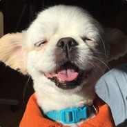 蕊蕊蕊蕊蕊蕊丶