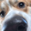 iM
