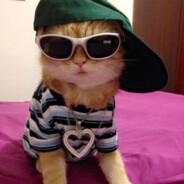 ༼ つ ◕_◕ ༽つ