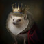 lord of the hedgehogs