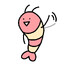 Wholesome Shrimp