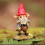 gnome