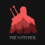 the Witcher
