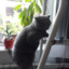 pixel