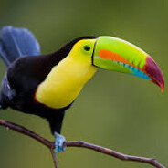 Senior - steam id 76561199077402948