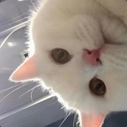 问明月皎洁如何走