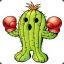 Cactus Boxer