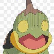 Chinese Turtwig